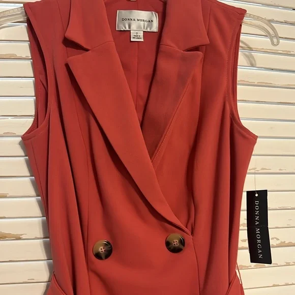 Elegant Terracotta Sleeveless Dress Size 2 - Picture 4 of 11